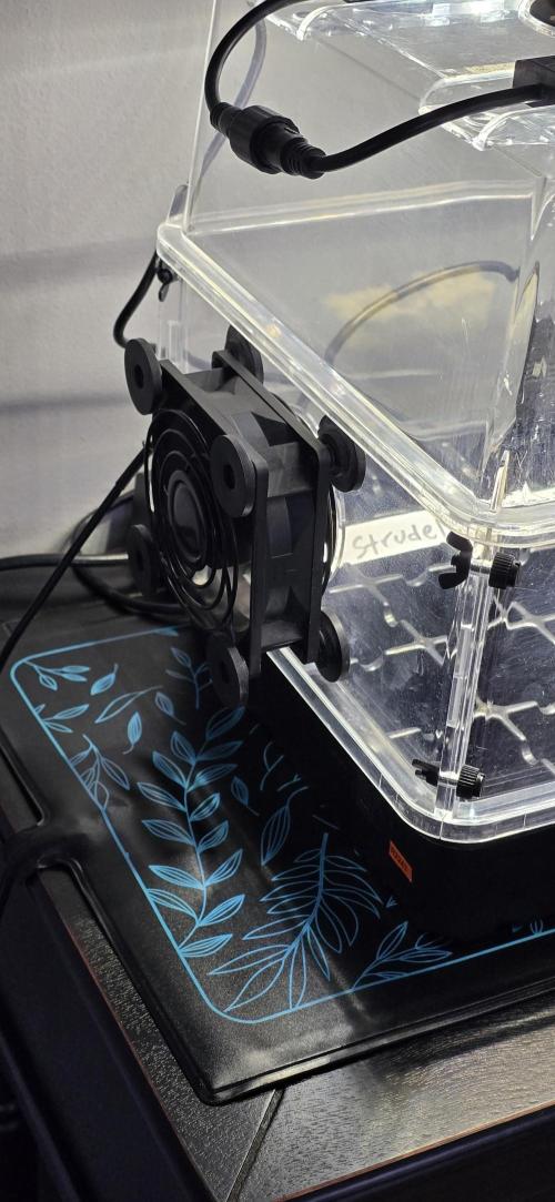 Blue Dream! Yum!. Week 0 - 12/26/2025 
Added this days ago forgot to show. 