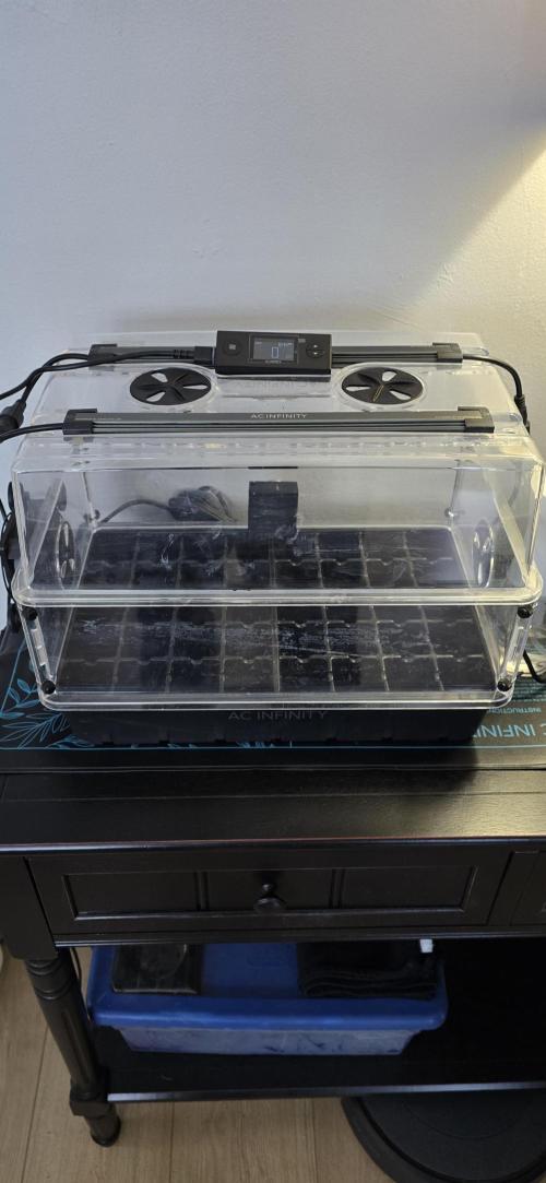 Apple Strudel Round 2. Week 0 - 01/02/2026 
Germination System 