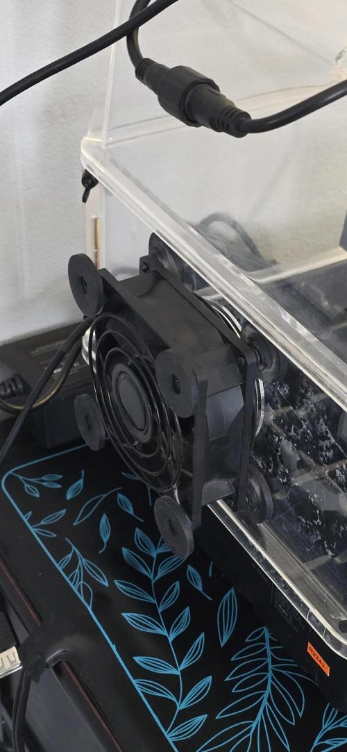 Apple Strudel Round 2. Week 0 - 01/02/2026 
Attached 4 inch computer fan by AC Infinity. 