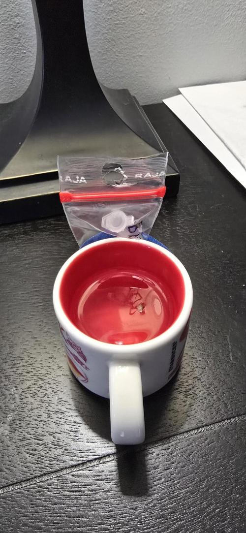 Blue Dream Round 2. Week 0 - 01/02/2026 
Blue Dream in a starbucks espresso mug 