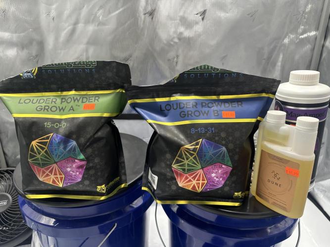 Scoopski F2 Hydro Grow. Week 1 - cutting edge solutions louder powder, mag-amped and impello dune silicic acid