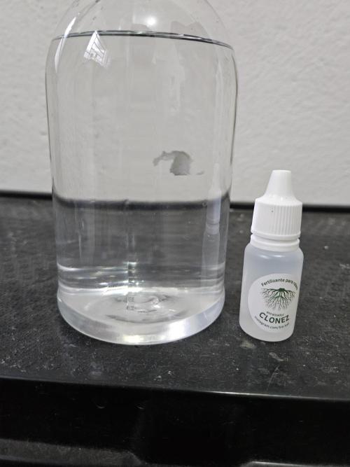 Banana Dessert - R-kiem Seeds. Week 0 - Rooting solution 