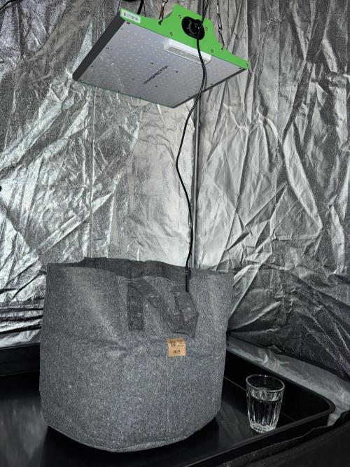 Special Kush #1 - Photoperiodic. Week 0 - Set up is ready right from the start! Excited for growing after a long time!