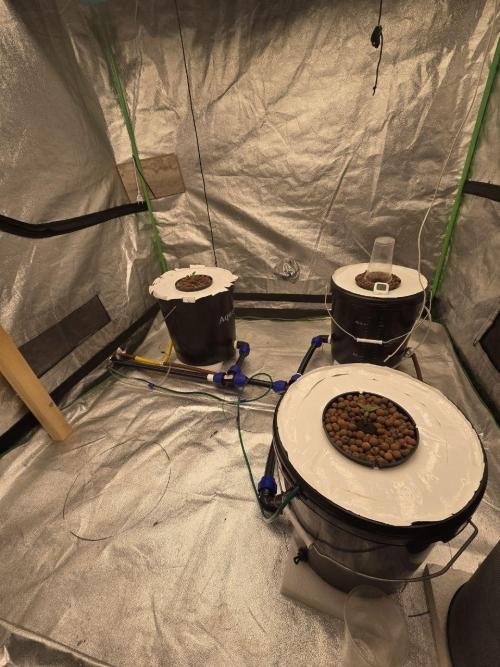 Super Boof / Gorilla Melon / RDWC 2026. Week 1