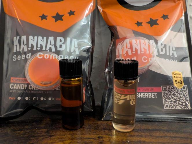 Kannabia Candy Cream Go Fast - Biotabs. Week 0 - For 24h in destilled water with a hint of humic acid