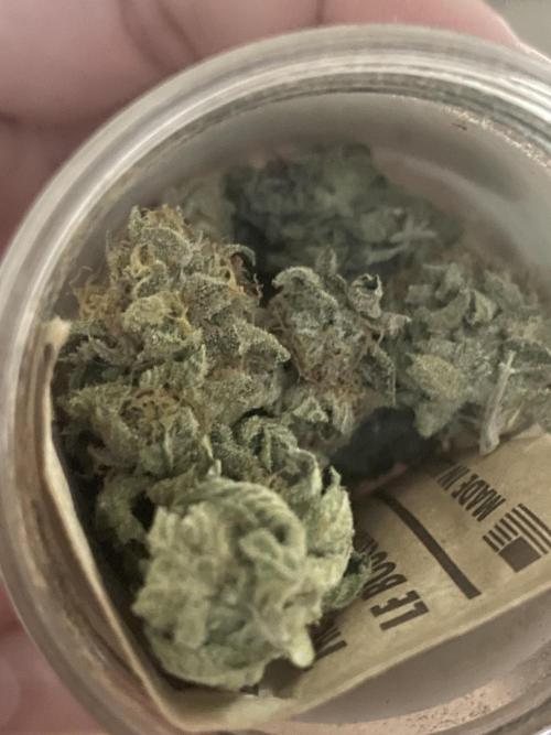 Magic Terp. Week 13