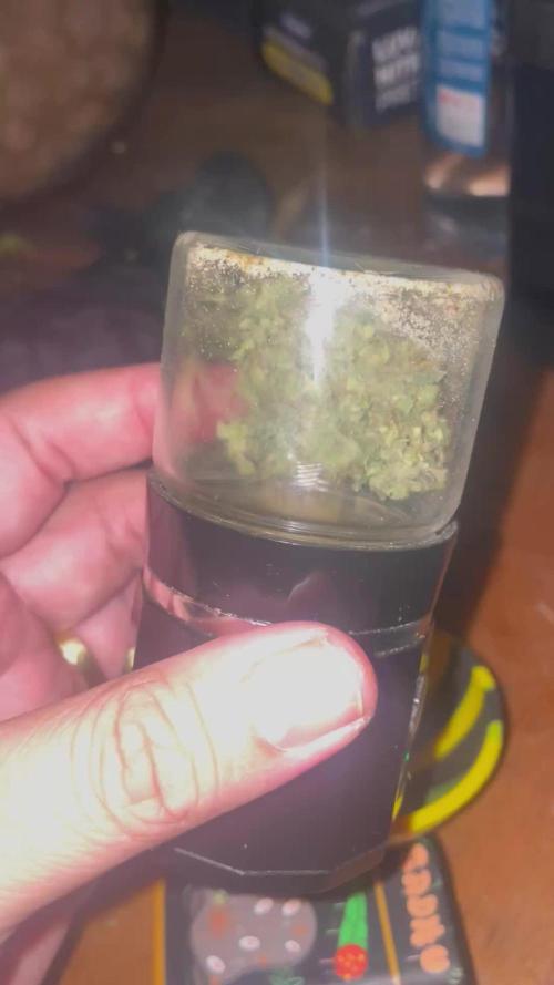 Magic Terp
