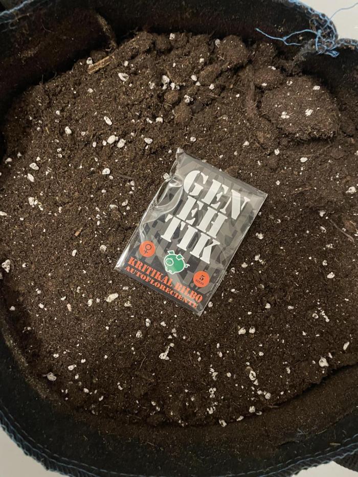 Kritikal Bilbo. Week 0