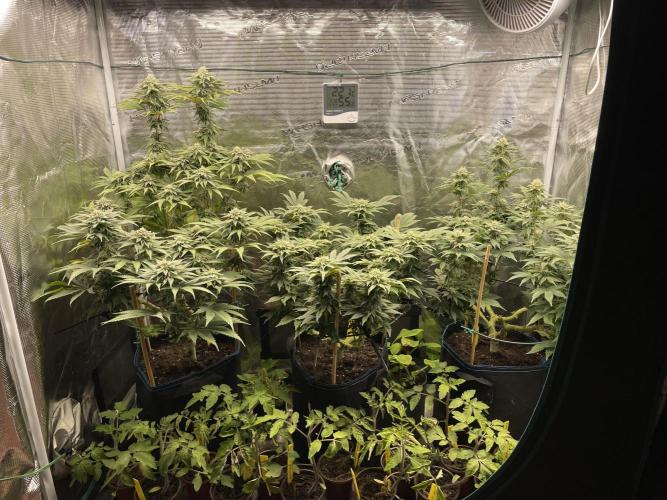 Slurricane. Week 16