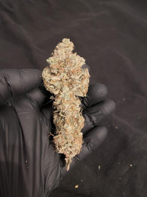 Cherry Zoap (II). Week 13