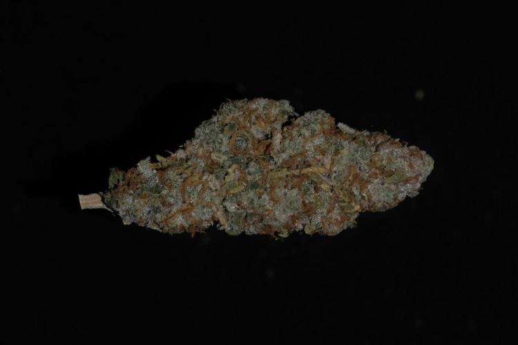 Kritikal Bilbo. Week 13