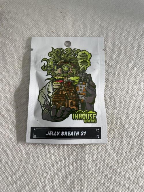 Jelly Breath. Week 0