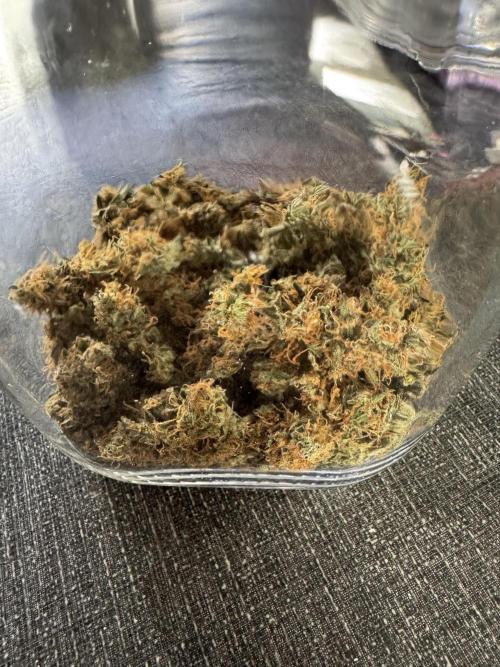 Sherbet Queen Auto (RQS). Week 11 - Curing pt.1