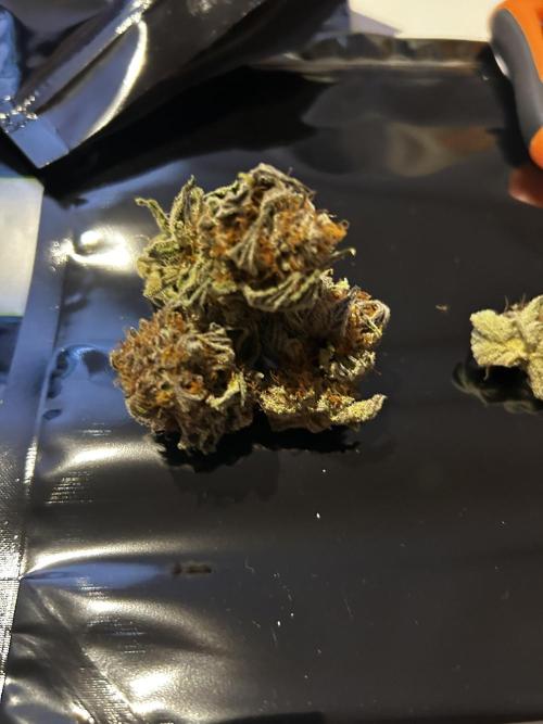 Thunder Banana Reveg.. Week 18