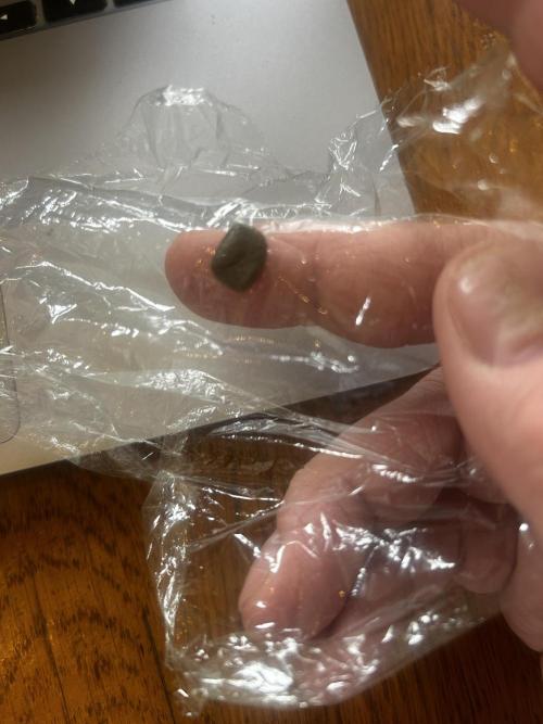 Red Tropicana Cookies. Week 11