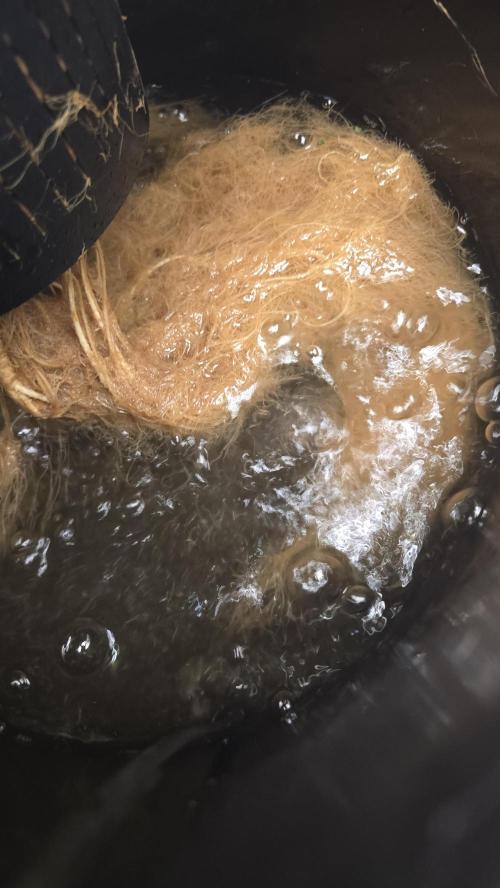 Indica Cream DWC. Week 24