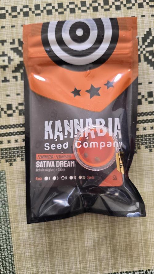 Sativa Dream DWC. Week 0