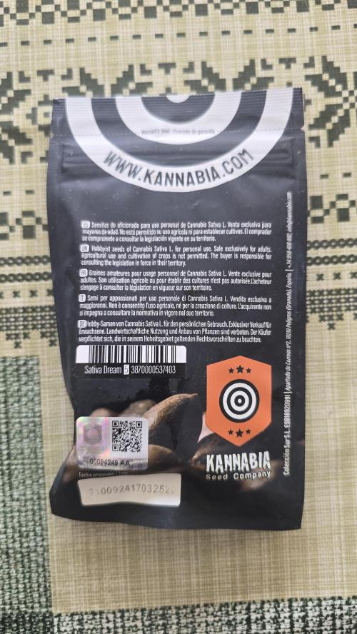 Sativa Dream DWC. Week 0