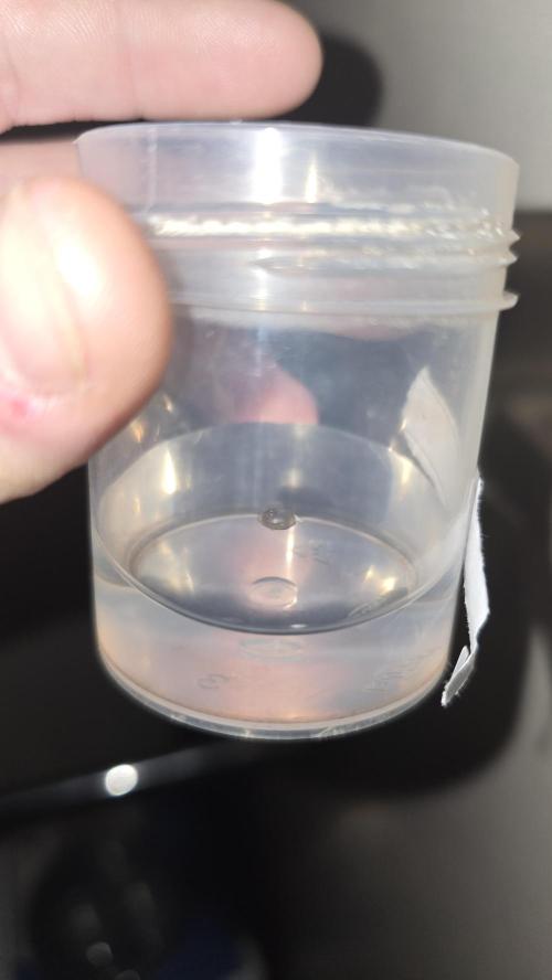 Sativa Dream DWC. Week 0