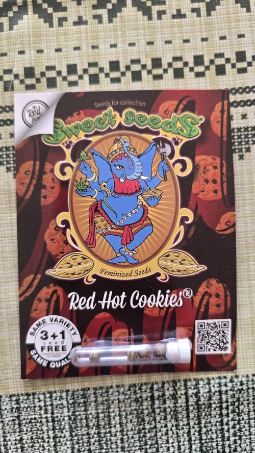 Red Hot Cookies DWC. Week 0