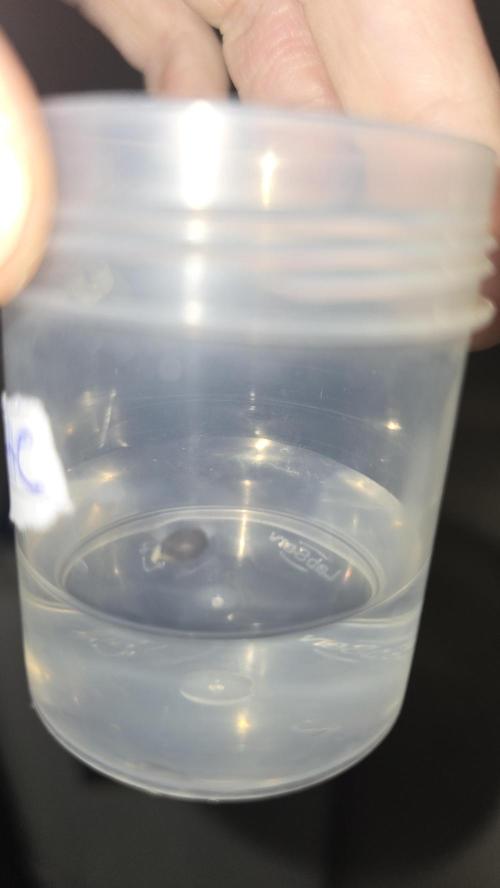 Red Hot Cookies DWC. Week 0