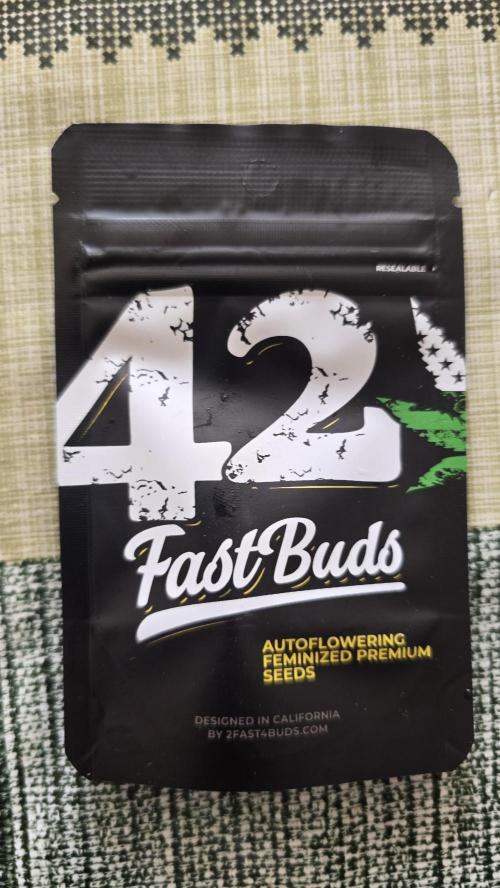 LSD-25 AUTO DWC. Week 0