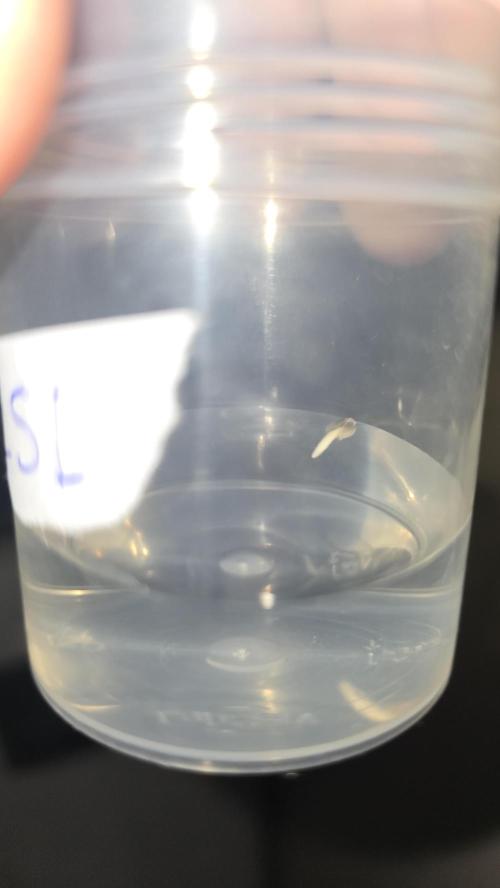 LSD-25 AUTO DWC. Week 0