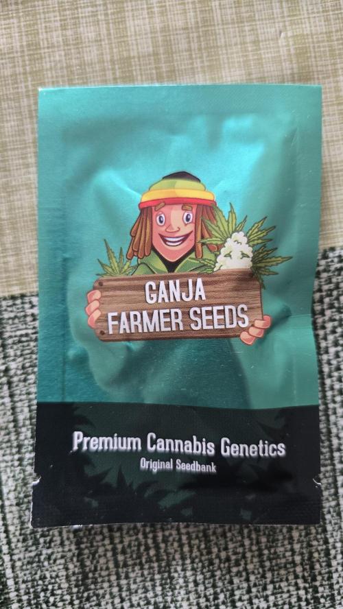 Purple Mandarine Auto DWC. Week 0