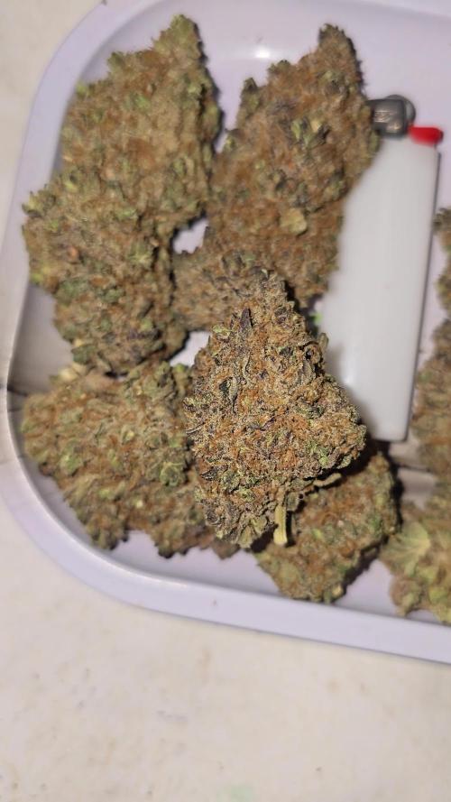 Ice Cream Haze DWC