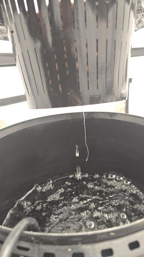 LSD-25 AUTO DWC. Week 3