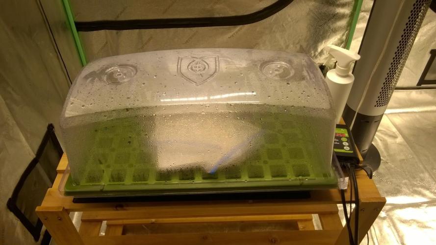 AK-47 Extreme Auto. Week 0 - Day 1