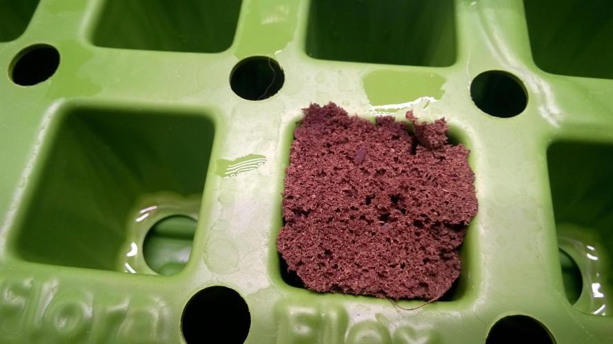 AK-47 Extreme Auto. Week 0 - Day 3