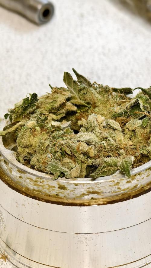 Sweet mandarine zkittlez XL auto *. Week 8