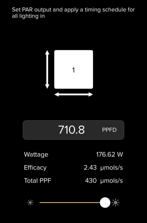 Barneys Farm Candy 🍭. Week 12