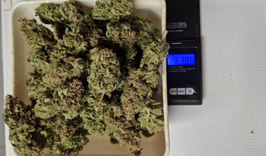 Think Fast grow fast. Week 16 - 63,86g die eine Hälfte