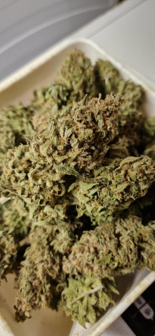 Think Fast grow fast. Week 16