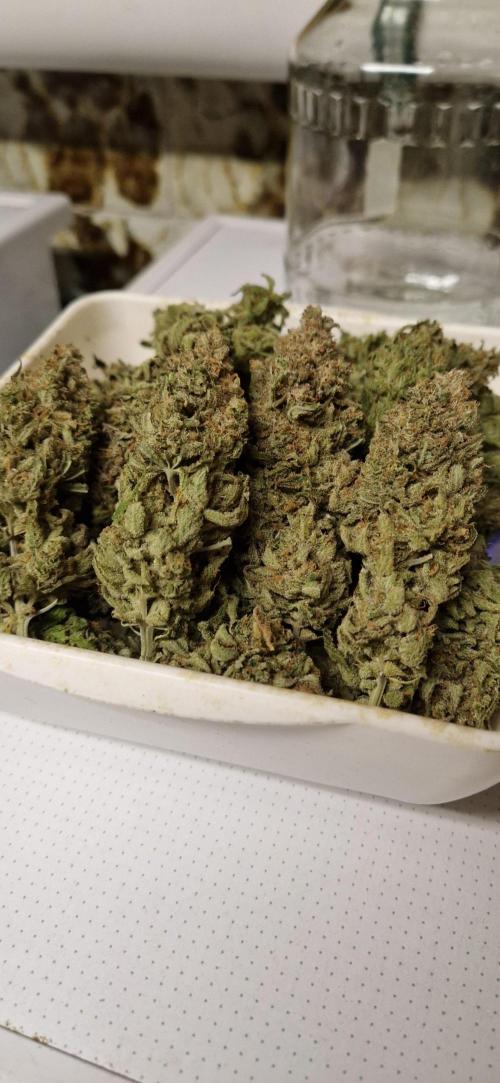 Think Fast grow fast. Week 16