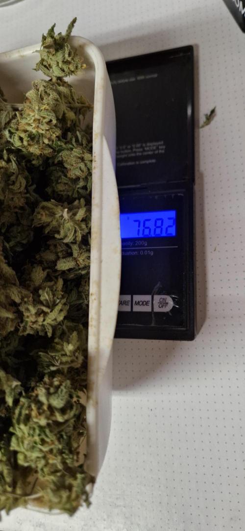 Think Fast grow fast. Week 16 - 76,82g die zweite Hälfte