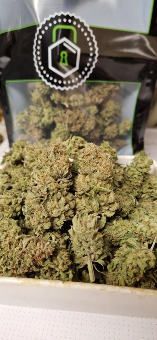 Think Fast grow fast. Week 16