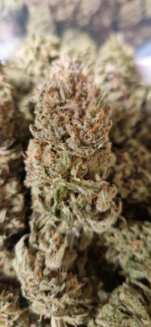 Think Fast grow fast. Week 16