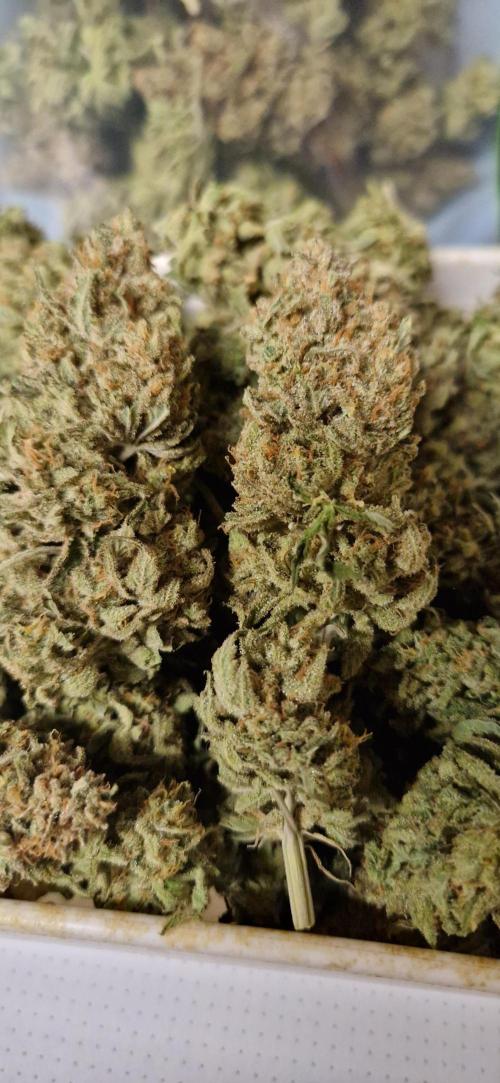 Think Fast grow fast. Week 16