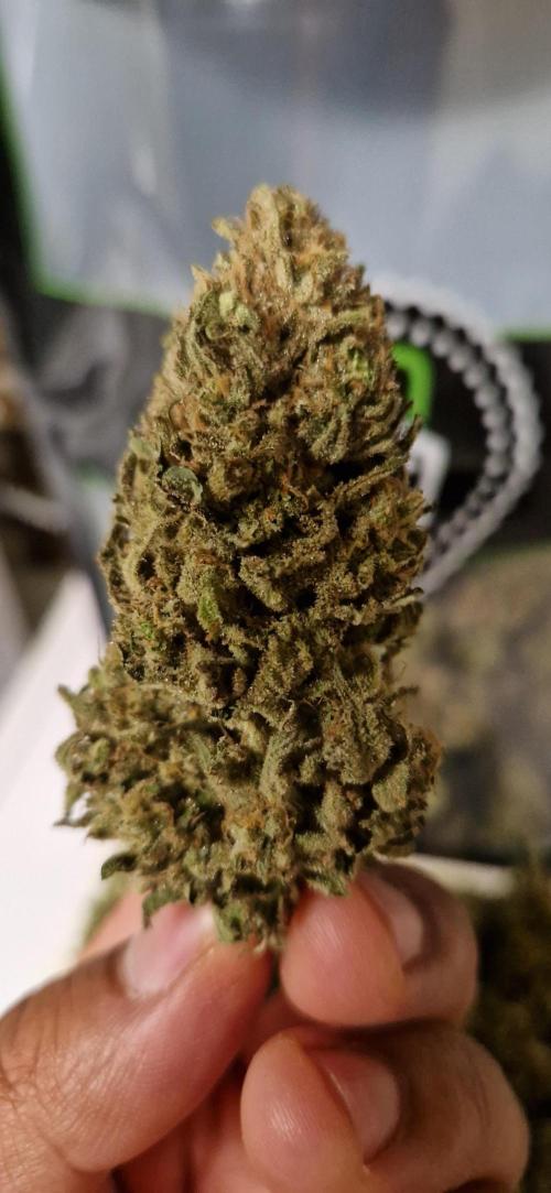 Think Fast grow fast. Week 16