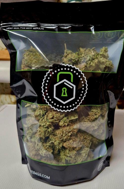 Think Fast grow fast. Week 16 - 140g in der grovebag zum curen