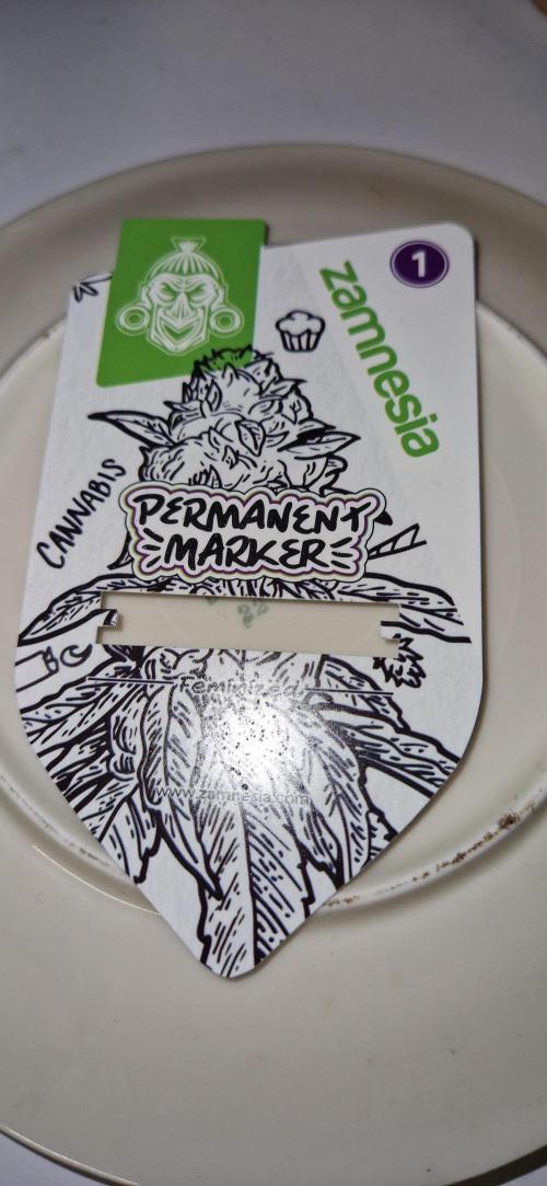 Projekt Permanent Marker 2x. Week 0