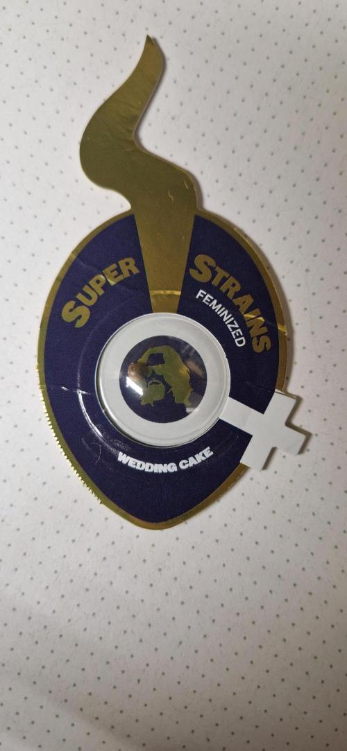 Wedding Cake Super Strains. Week 0 - 13.11