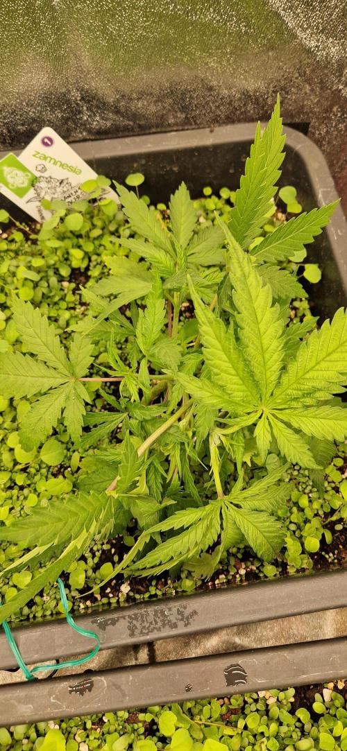 Projekt Permanent Marker 2x. Week 4 - 01.12