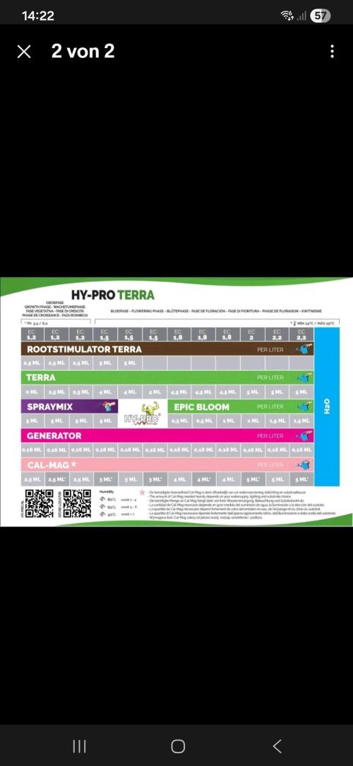 Wedding Cake Super Strains. Week 4