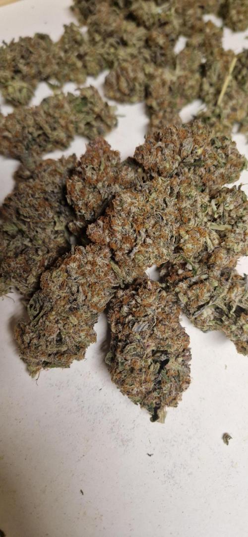 Wedding Cake Super Strains. Week 18 - 22.03