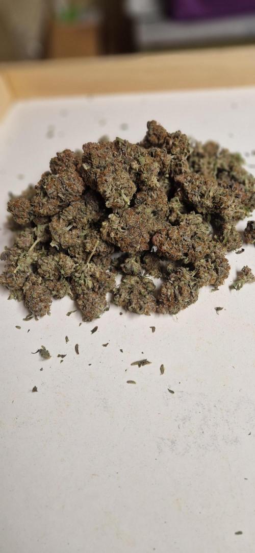 Wedding Cake Super Strains. Week 18 - 22.03
