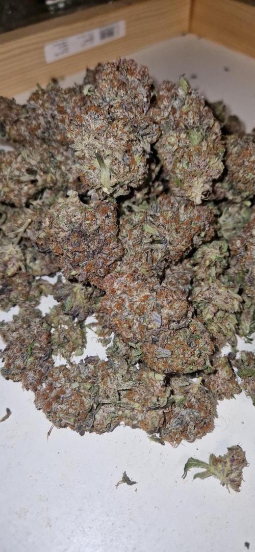 Wedding Cake Super Strains. Week 18 - 22.03